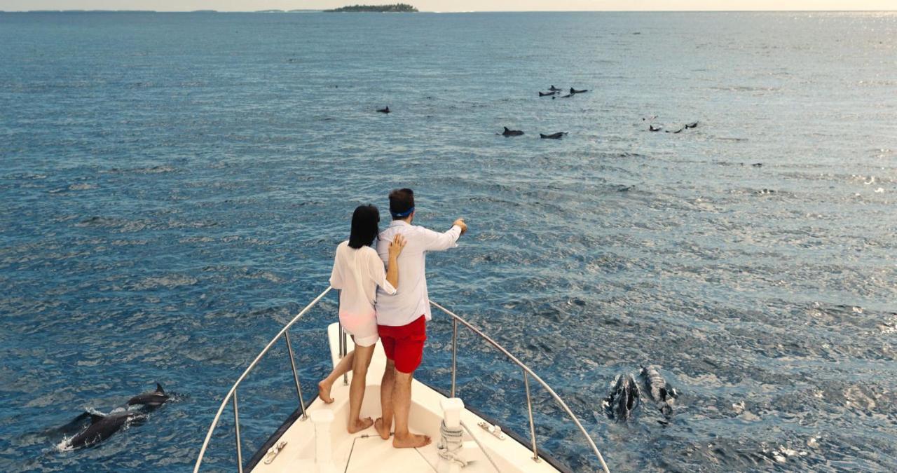 Kandima Maldives Kudahuvadhoo ภายนอก รูปภาพ Dolphins in the Red Sea